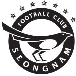 城南FC队