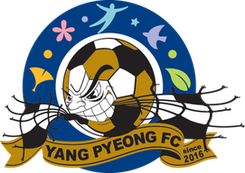 杨平队